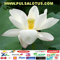 SERVER LOTUS BSD